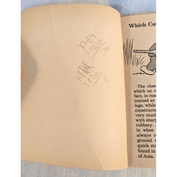 Super Facts What Is An Army Ant Moby Books Adelmans Childrens Illustrated Vtg - Picture 6 of 12